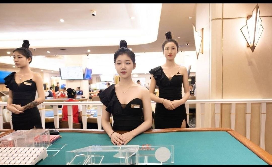 腾龙会员宣传图4